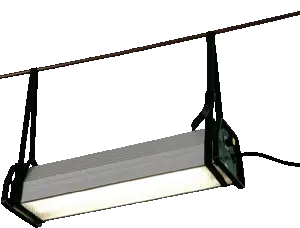 Paski z pętlą