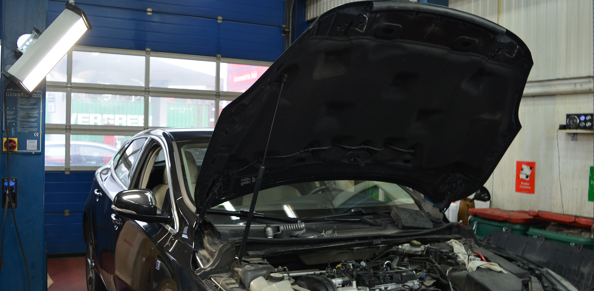 VIKING L220 LED 210230V AC VIKING LIGHTING